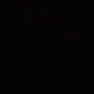 Meet your Posher, Rayshaun